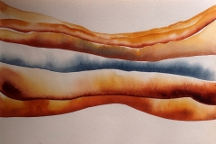 OS OSSOS O CORPO A CARNE DA TERRA 25X35 CM 2017