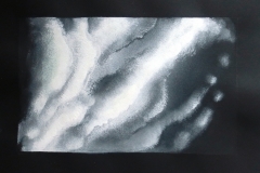 PULMOES DA TERRA 25X35 CM 2017