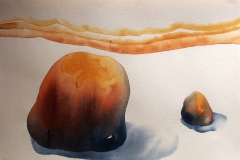TEMPO O CORPO A CARNE DA TERRA 25X35 CM 2017