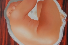 O asteróide 120X120 cm 1990