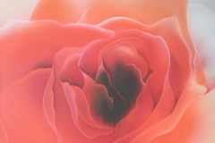 e uma rosa e uma rosa 70X70 2013